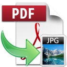 PDF to JPG lets you convert PDF files to a variety of image file formats, with support for multiple image processing in batch. 