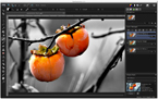 PaintSupreme v1.1 Screenshot
Click to view more