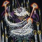 Wild Wizard