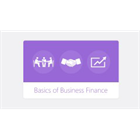 Basics of Business Finance (Mac & PC) Discount