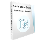 Cerebrum Scale : AI Offline Bulk Images Upscaler (PC) Discount