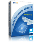 Data Recovery Wizard ProfessionalDiscount