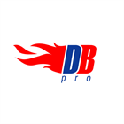 DeepBurner Pro (PC) Discount