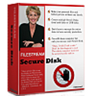 FileStream Secure DiskDiscount