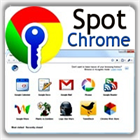 SpotChrome Password Recovery (PC) Discount