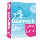 Teamwork (PC) Discount
