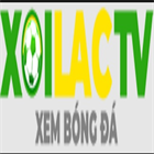 fondazionesabattini.it scams User