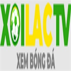 fondazionesabattini.it User