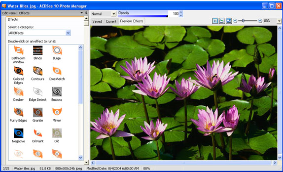 Design, Photo & Graphics Software, Image Viewer Software Screenshot