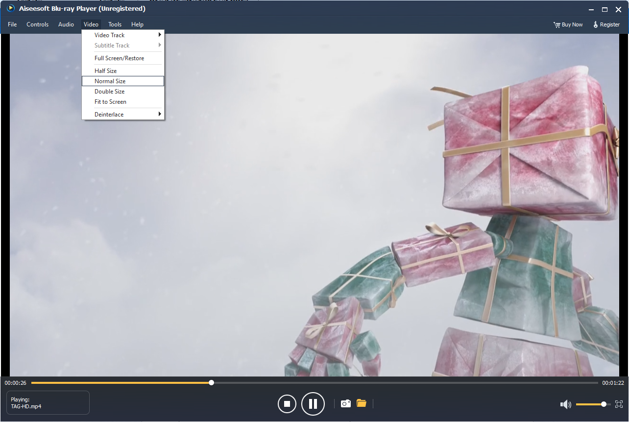 Video Player Software Screenshot