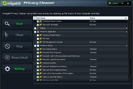 Amigabit Privacy Cleaner, System Tweaker Software Screenshot
