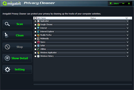 Amigabit Privacy Cleaner Screenshot