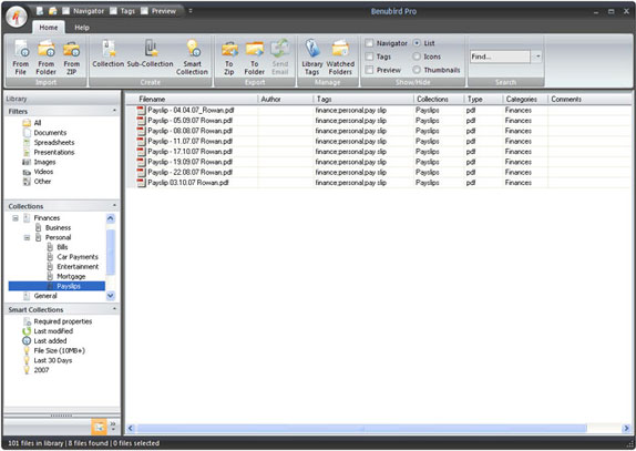 Benubird Pro, Desktop Space Software Screenshot
