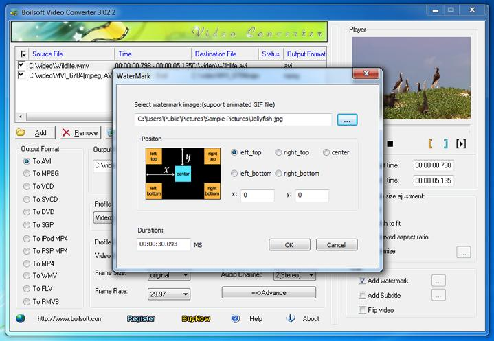 Boilsoft Video Converter Screenshot