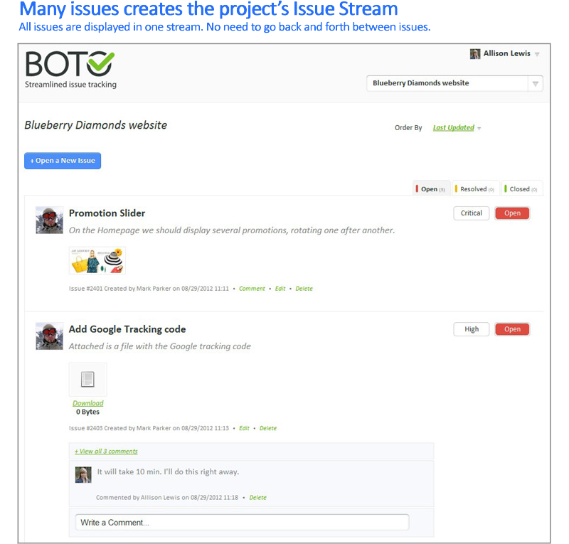 Boto, HTML Compatibility Software Screenshot