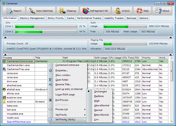 Cacheman (2 Computer License) Screenshot