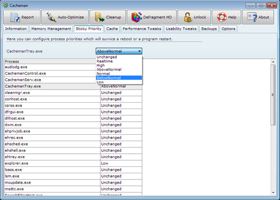 System Tweaker Software, Cacheman (2 Computer License) Screenshot