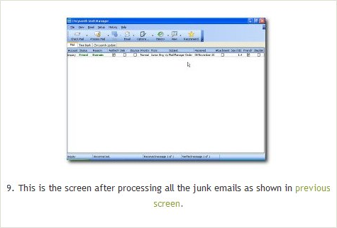 Internet Software, Chrysanth Mail Manager Screenshot