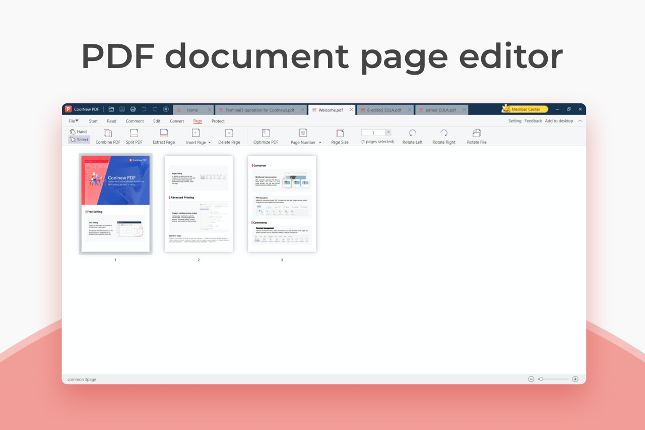 Document Conversion Software, Coolnew PDF Screenshot