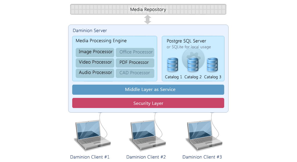 Daminion Server (5 users), Cataloging Software Screenshot