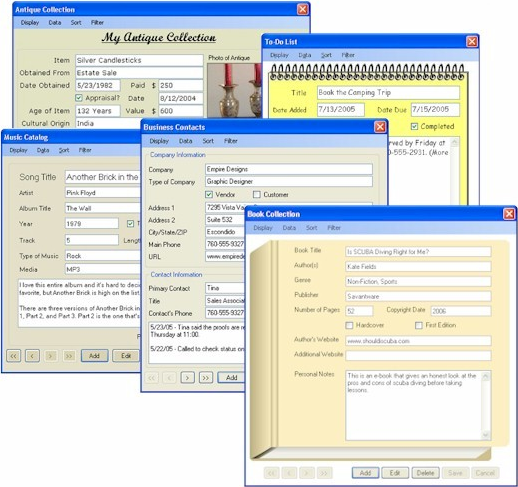 Database Oasis - Basic Edition, Database Software Screenshot