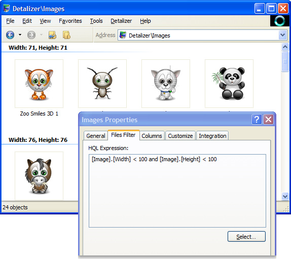 Detalizer, File Management Software Screenshot