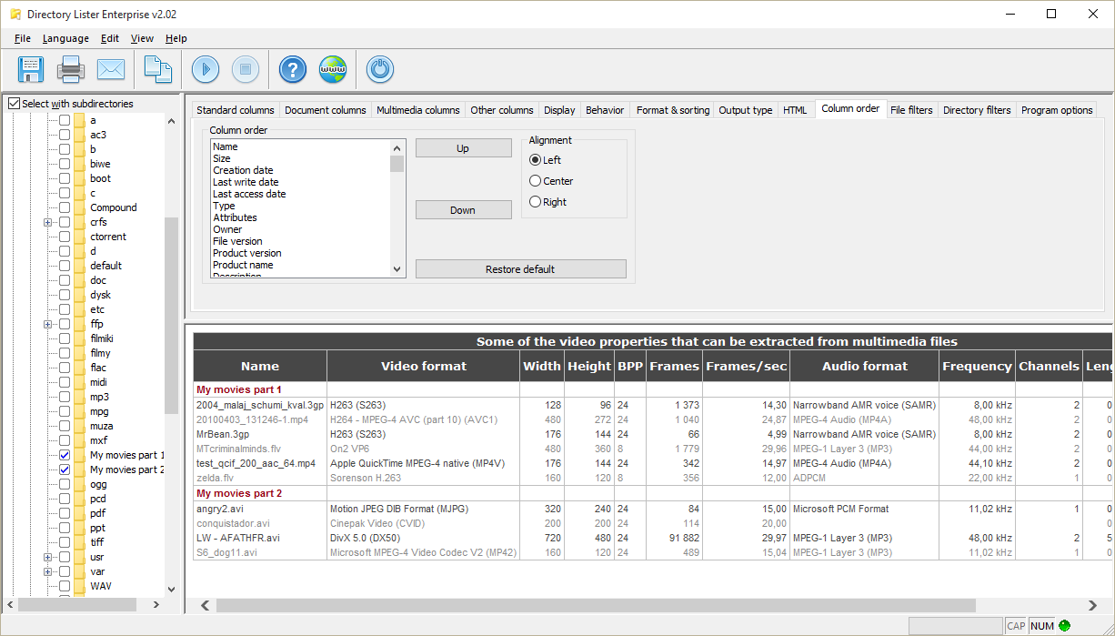 Directory Lister Pro, File Management Software Screenshot