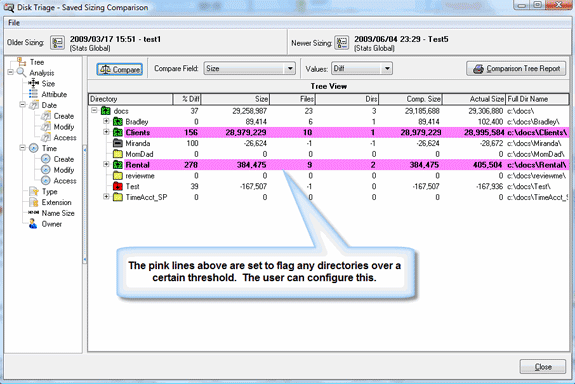 File Management Software, Disk Triage Screenshot