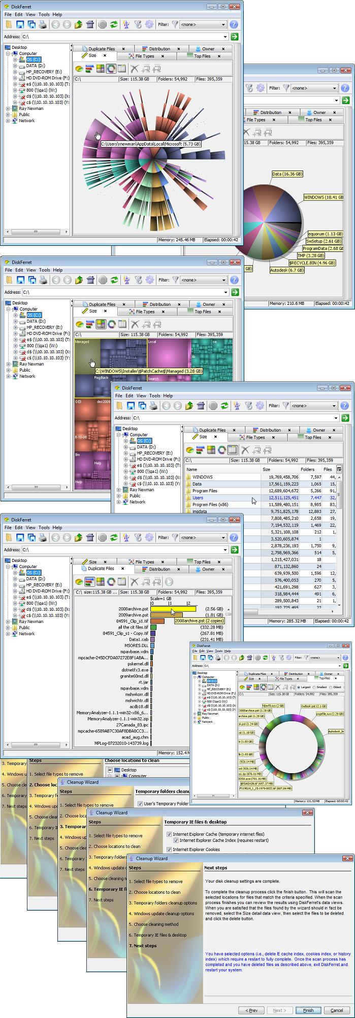 DiskFerret Professional Screenshot