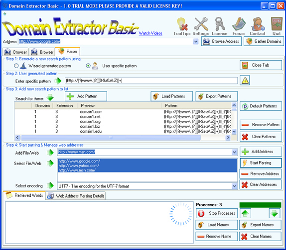 Internet Software, Domain Extractor Basic Screenshot