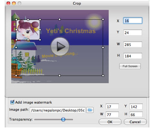 Doremisoft SWF Converter, Video Converter Software Screenshot
