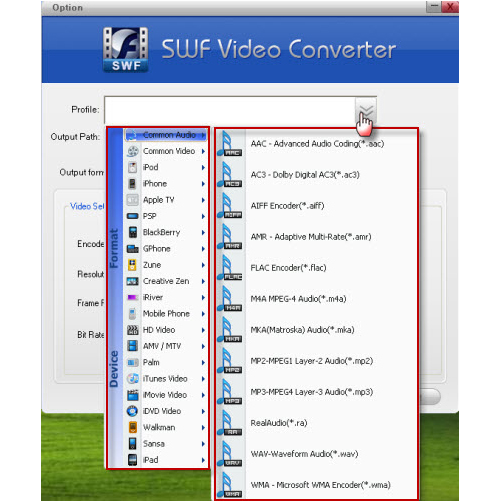 Doremisoft SWF Converter, Video Software, Video Converter Software Screenshot