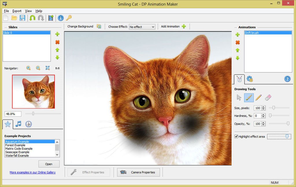 DP Animation Maker 3.5.19 instal the new for windows