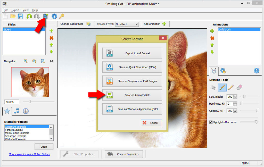 DP Animation Maker 3.5.23 for windows download
