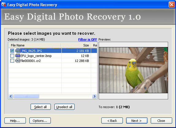 Easy Digital Photo Recovery Screenshot