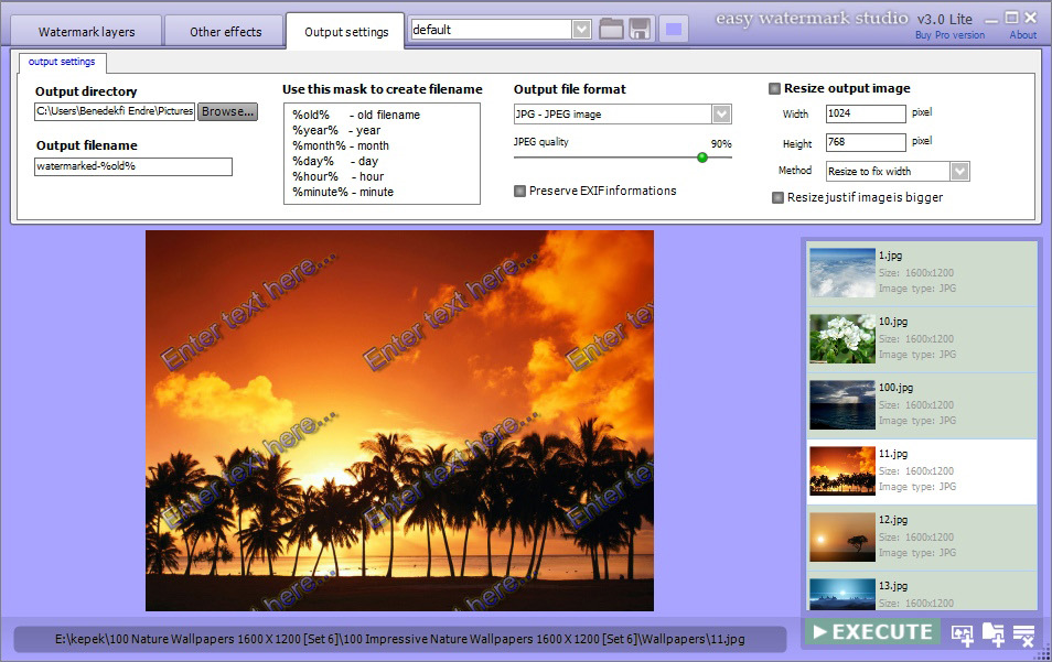 Easy Watermark Studio Pro 3.5, Watermark Software Screenshot