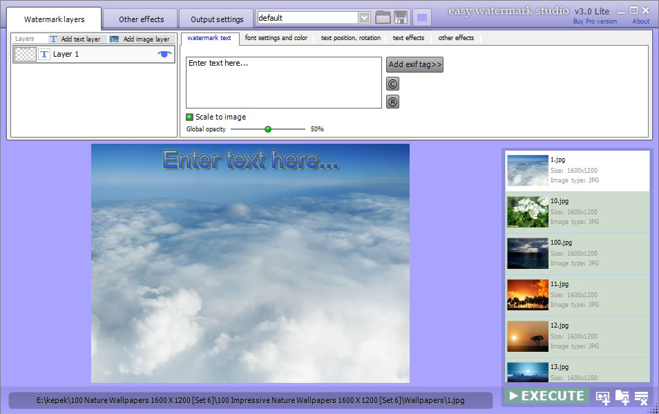 Easy Watermark Studio Pro 3.5 Screenshot