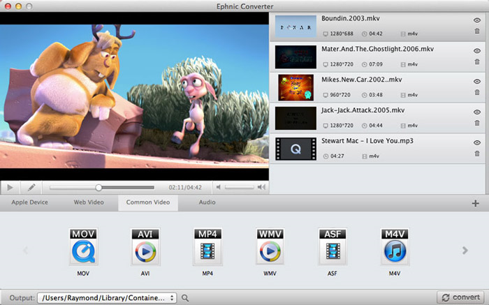 Ephnic Video Converter, Video Converter Software Screenshot