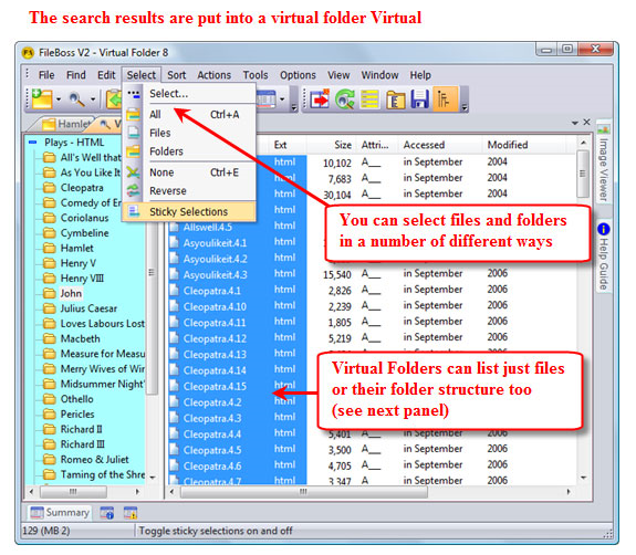 FileBoss, File Management Software Screenshot