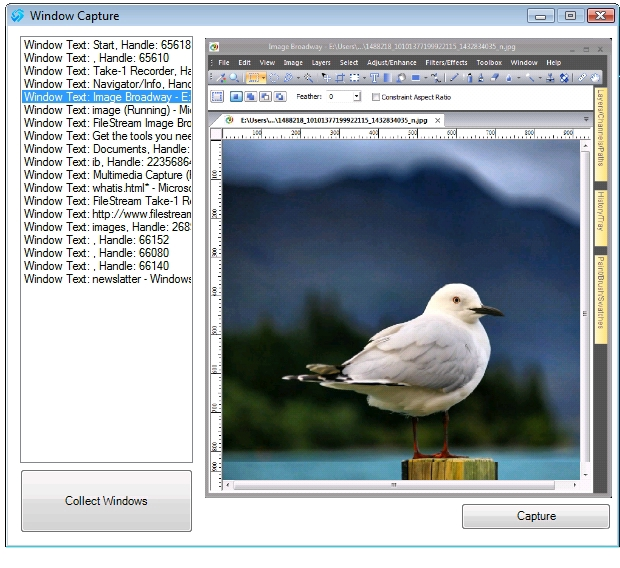 Screenshot Software Screenshot
