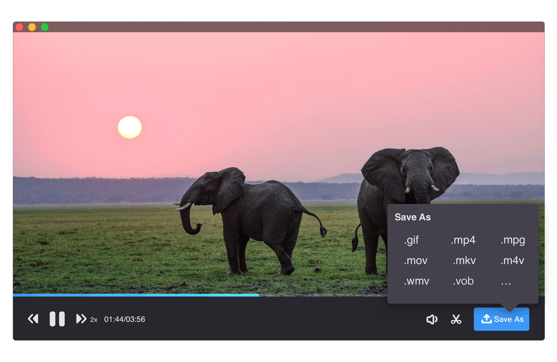 Video Software, Video Capture Software Screenshot