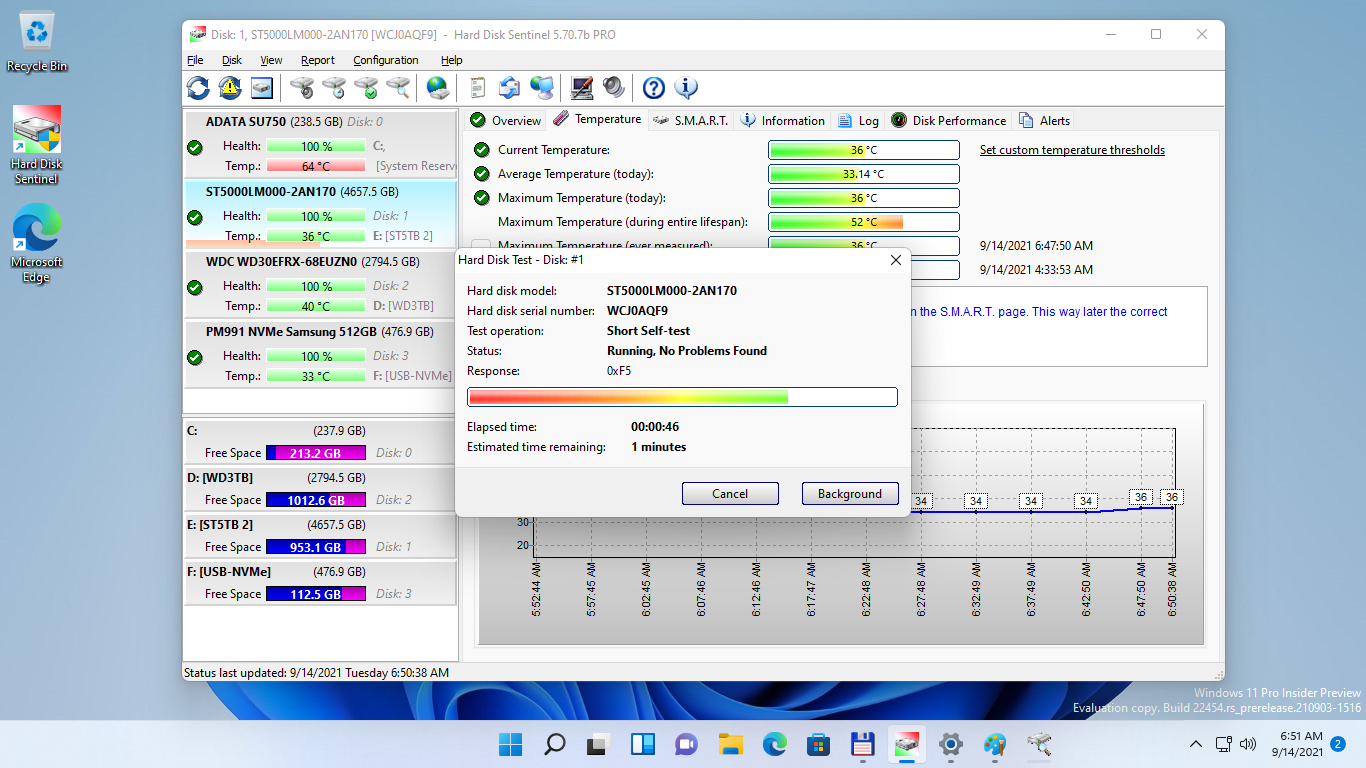 Hard Disk Sentinel Professional, Software Utilities, Hard Drive Software Screenshot