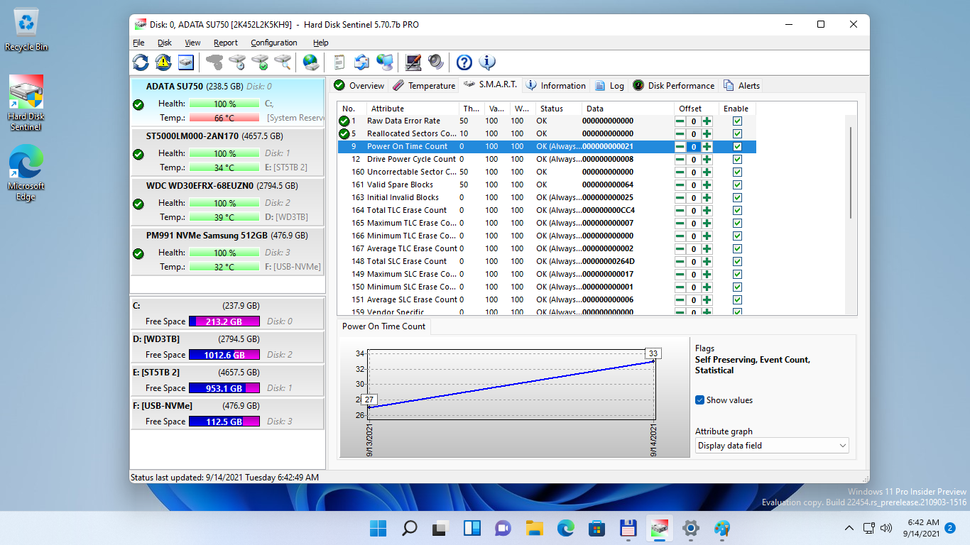 Software Utilities, Hard Disk Sentinel Professional Screenshot