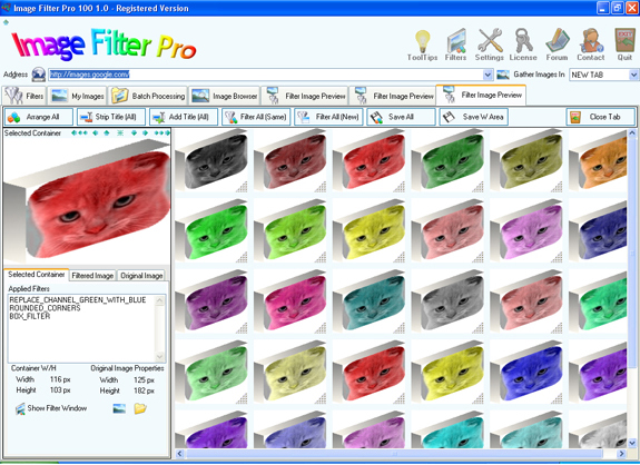 Image Filter Pro 100 Screenshot 11