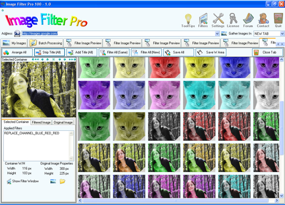 Image Filter Pro 100 Screenshot 16