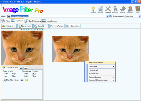 Image Filter Pro 100, Design, Photo & Graphics Software, Misc & Fun Graphics Software Screenshot