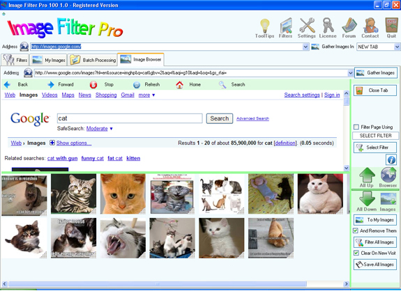 Design, Photo & Graphics Software, Misc & Fun Graphics Software Screenshot