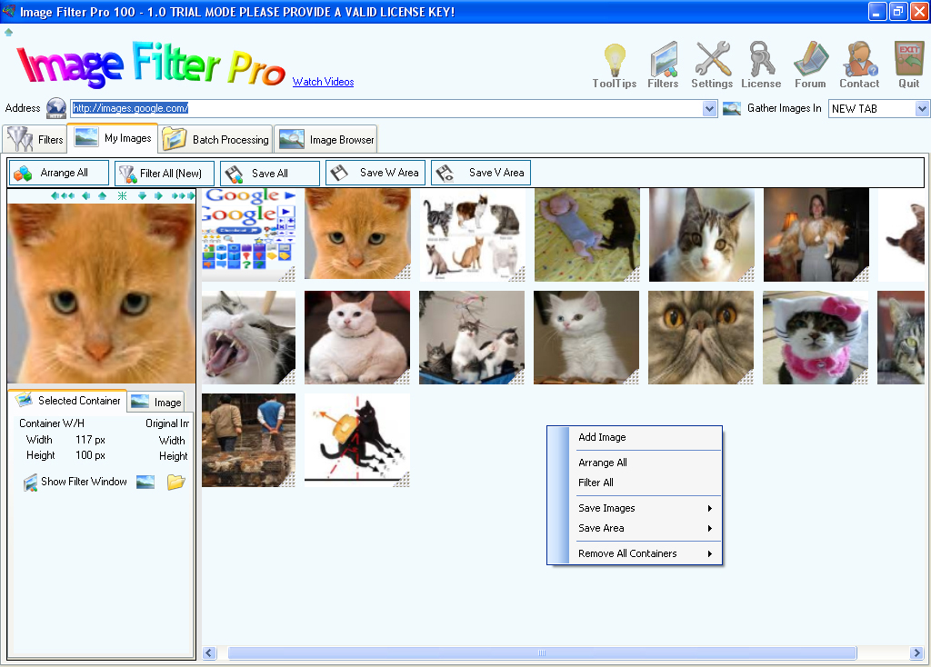 filters for photos online editor