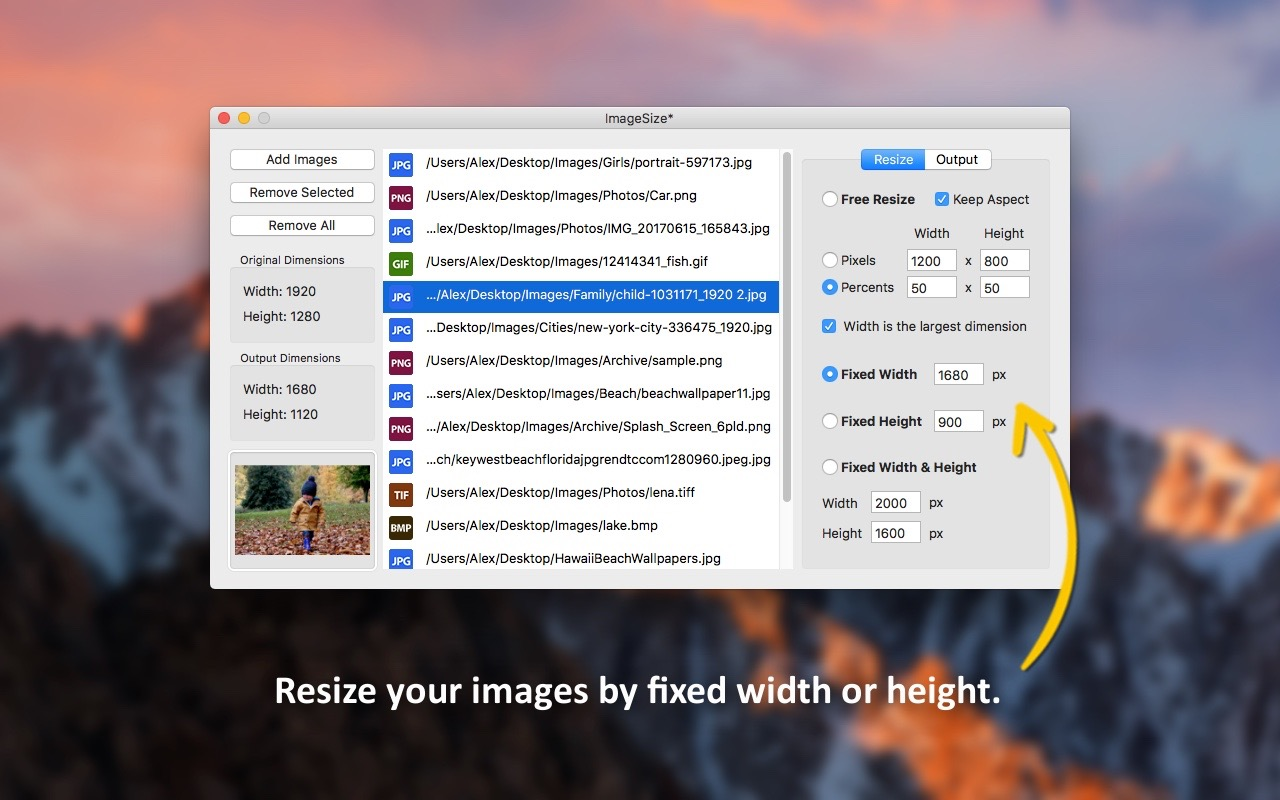 ImageSize, Batch Image Software Screenshot