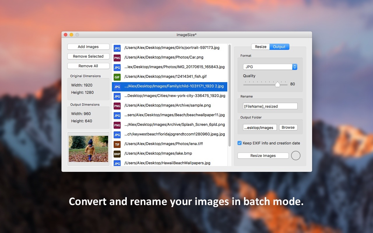 Batch Image Software, ImageSize Screenshot